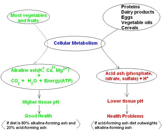 Acid Alkaline Balance